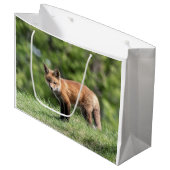Red Fox Kit Groot Cadeauzakje (Voorkant Gekanteld)