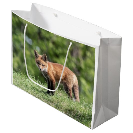 Red Fox Kit Groot Cadeauzakje (Voorkant Gekanteld)