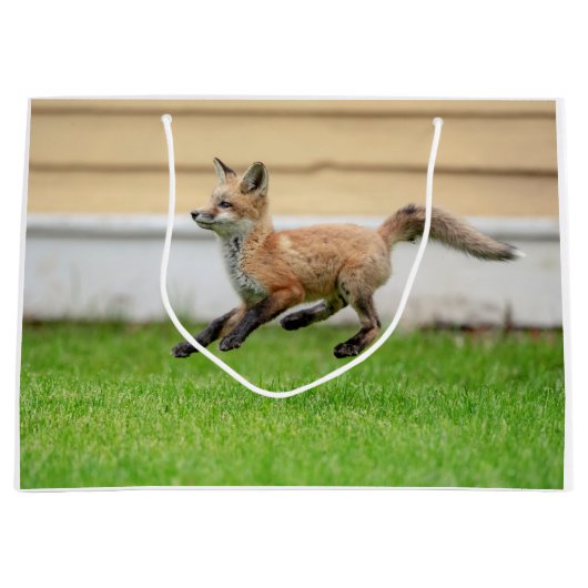 Red Fox Kit in de Hudson-vallei Groot Cadeauzakje (Voorkant)