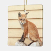 Red Fox Kit in de Hudson-vallei Keramisch Ornament (Links)