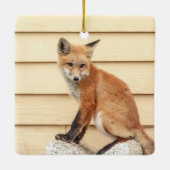 Red Fox Kit in de Hudson-vallei Keramisch Ornament (Achterkant)