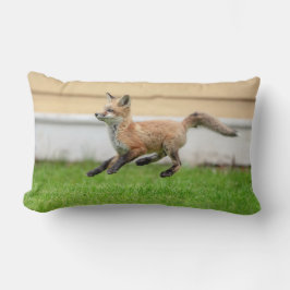 Red Fox Kit in de Hudson-vallei Kussen