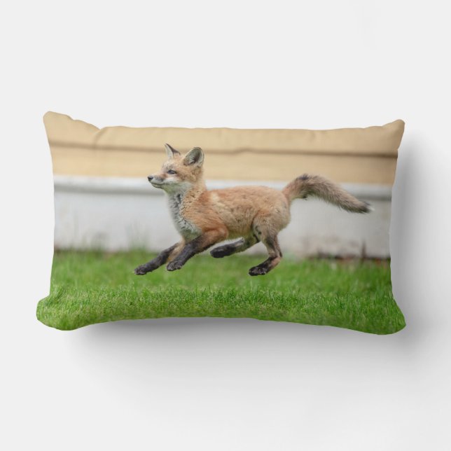 Red Fox Kit in de Hudson-vallei Kussen (Voorkant)