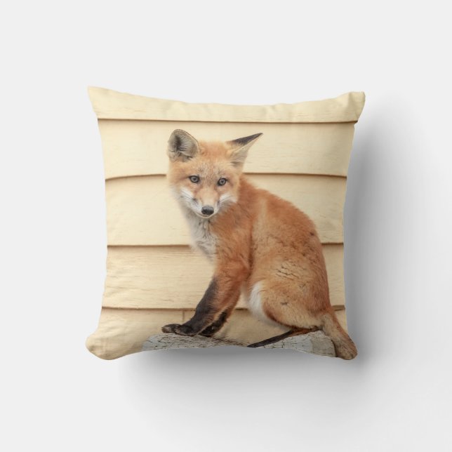 Red Fox Kit in de Hudson-vallei Kussen (Voorkant)