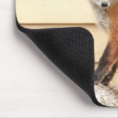 Red Fox Kit in de Hudson-vallei Muismat (Hoek)
