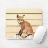 Red Fox Kit in de Hudson-vallei Muismat (Met muis)