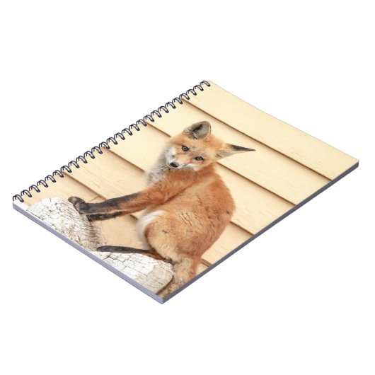 Red Fox Kit in de Hudson-vallei Notitieboek (Linkerzijde)