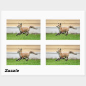 Red Fox Kit in de Hudson-vallei Rechthoekige Sticker (Vel)