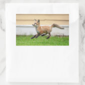 Red Fox Kit in de Hudson-vallei Rechthoekige Sticker (Tas)