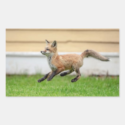 Red Fox Kit in de Hudson-vallei Rechthoekige Sticker (Voorkant)