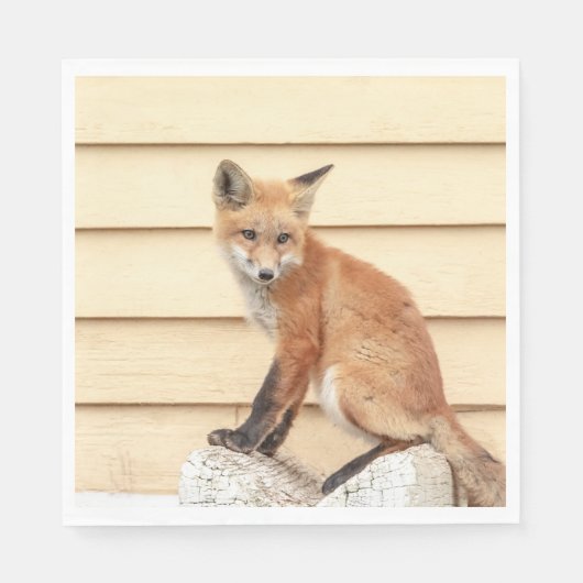 Red Fox Kit in de Hudson-vallei Servet (Voorkant)