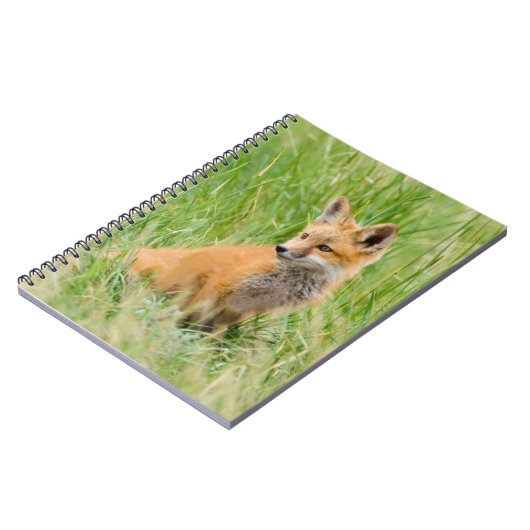 Red Fox Kit in gras nabij den den Notitieboek (Linkerzijde)