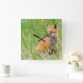 Red Fox Kit in gras nabij den den Vierkante Klok (Huis)
