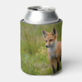 Red Fox Kit in Grassy Meadow Blikjeskoeler (Blikje Voorkant)