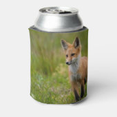 Red Fox Kit in Grassy Meadow Blikjeskoeler (Blikje Achterkant)