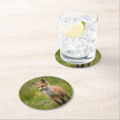 Red Fox Kit in Grassy Meadow Ronde Kartonnen Onderzetter (Insitu)