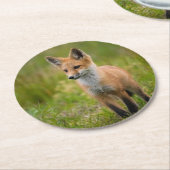 Red Fox Kit in Grassy Meadow Ronde Kartonnen Onderzetter (Gebogen)