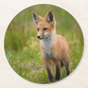 Red Fox Kit in Grassy Meadow Ronde Kartonnen Onderzetter