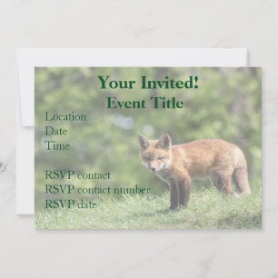 Red Fox Kit Kaart