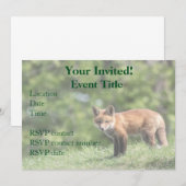 Red Fox Kit Kaart (Voorkant / Achterkant)