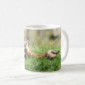 Red Fox Kit Koffiemok (Voorkant rechts)