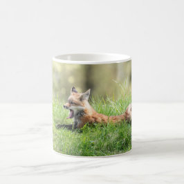 Red Fox Kit Koffiemok