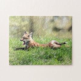 Red Fox Kit Legpuzzel