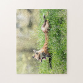 Red Fox Kit Legpuzzel