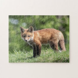 Red Fox Kit Legpuzzel