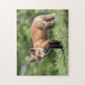 Red Fox Kit Legpuzzel (Verticaal)