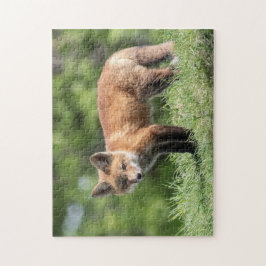 Red Fox Kit Legpuzzel
