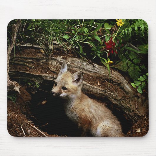 Red Fox Kit Muismat (Voorkant)