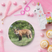 Red Fox Kit Papieren Bordje (Feest)
