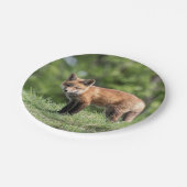 Red Fox Kit Papieren Bordje (Gekanteld)