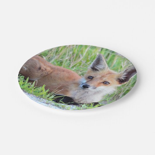 Red Fox Kit Papieren Bordje (Gekanteld)