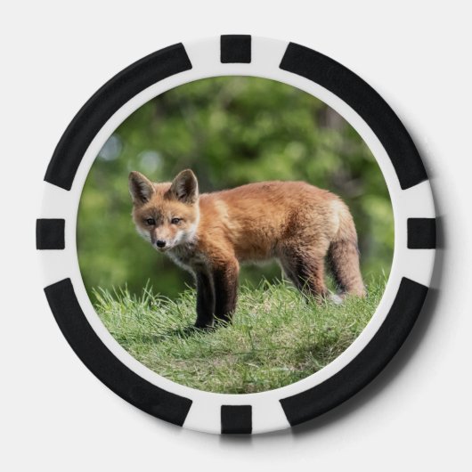 Red Fox Kit Pokerchips (Voorkant)
