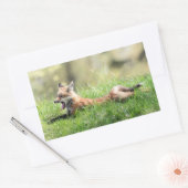 Red Fox Kit Rechthoekige Sticker (Envelop)