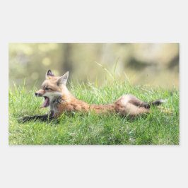 Red Fox Kit Rechthoekige Sticker