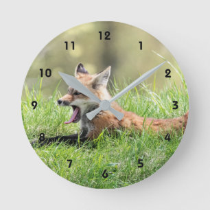 Red Fox Kit Yawning Ronde Klok