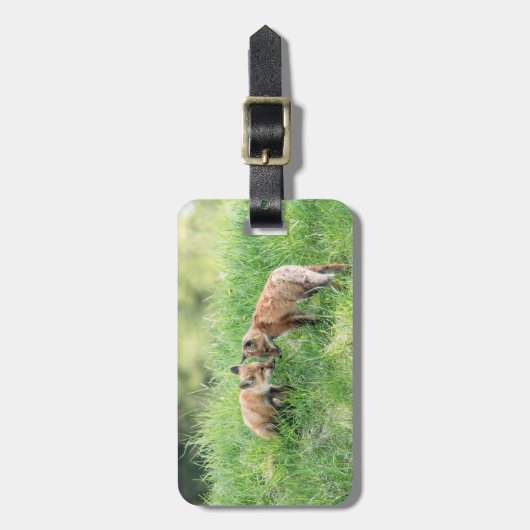 Red Fox Kits Bagagelabel (Voorkant verticaal)