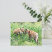 Red Fox Kits Briefkaart (Staand voorkant)