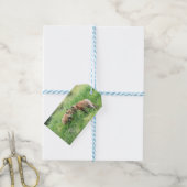 Red Fox Kits Cadeaulabel (Met Touw)