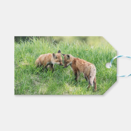 Red Fox Kits Cadeaulabel (Voorkant (Horizontaal))
