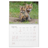 Red Fox Kits Kalender (Feb 2027)
