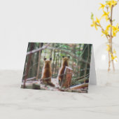 Red Fox Kits kijken Kaart (Gele Bloem)