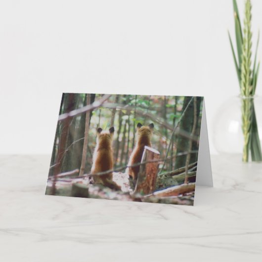 Red Fox Kits kijken Kaart (Voorkant)