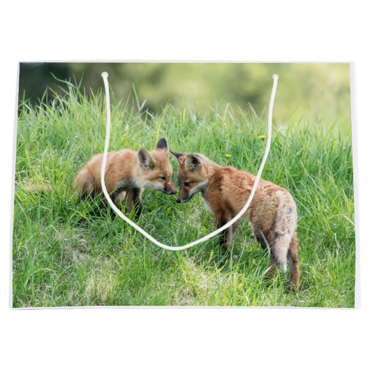 Red Fox Kits Large Cadeautasje (Voorkant)