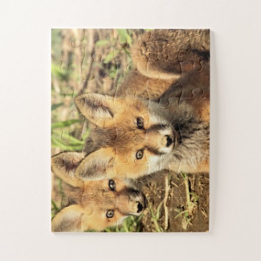 Red Fox Kits Legpuzzel (Verticaal)