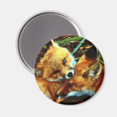 Red Fox Kits Magneet (Voorkant / Achterkant)