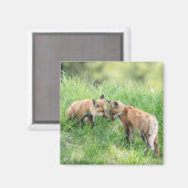 Red Fox Kits Magneet (Voorkant / Achterkant)